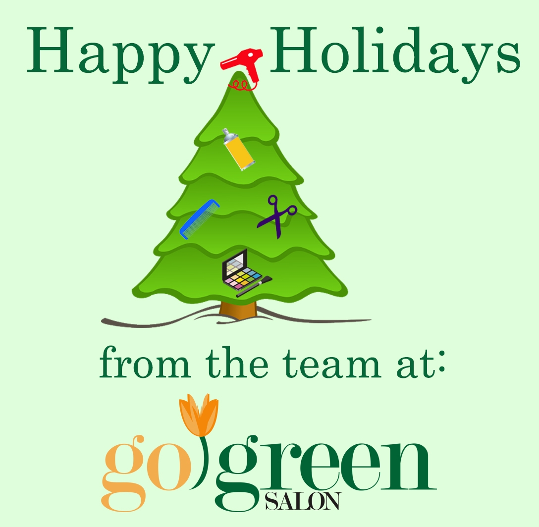 Holiday Hair Appointments Available - Blog - Go Green Salon
